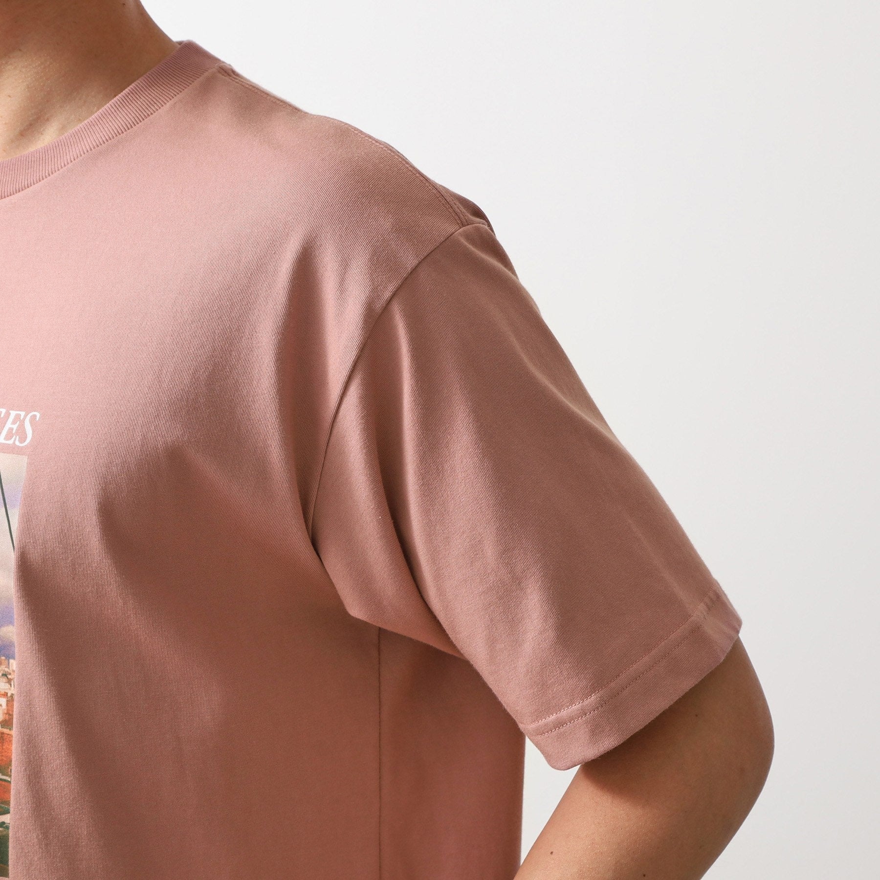 ザ ショップ ティーケー(メンズ) THE SHOP TK(Men) リサイクルフォトグラファープリントTシャツ （ピンク(071)） ピンク(071)