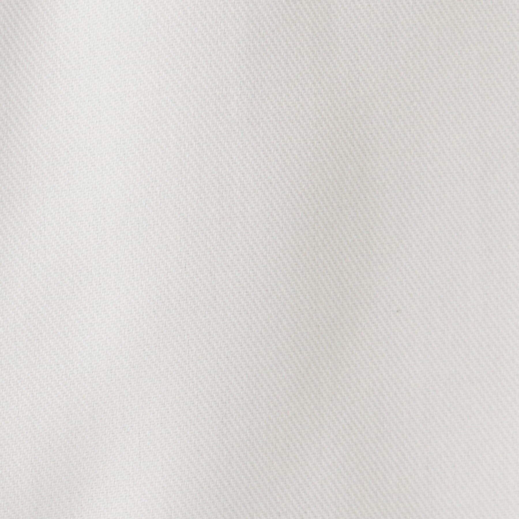 THE SHOP TK 【Wrinkle-resistant】 Mount Nerl Shirt