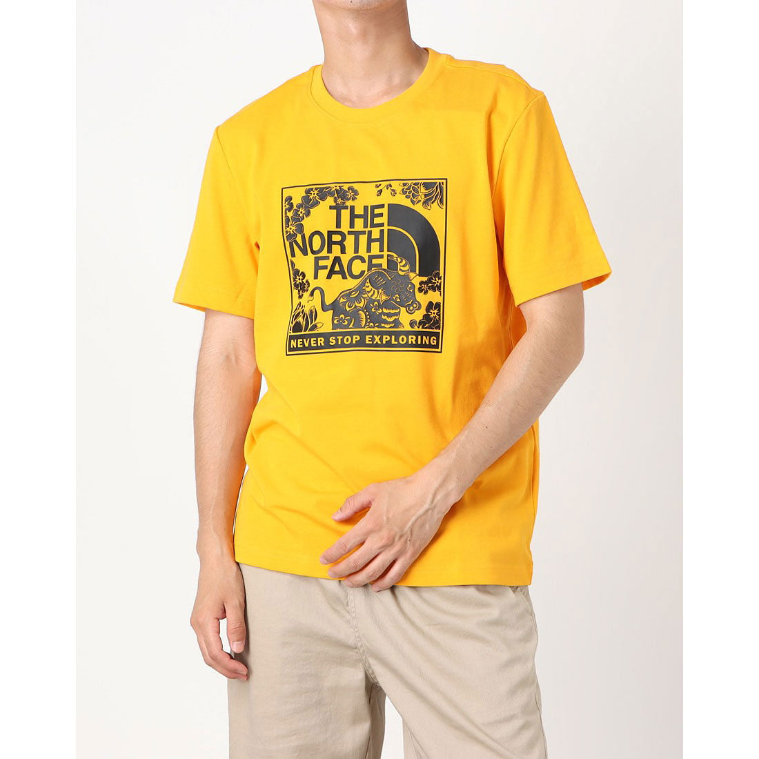 ザ ノースフェイス THE NORTH FACE THE NORTH FACE M CNY BOX GRAPHIC TEE NF0A4U8S,イエロー