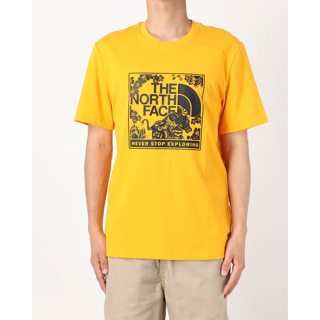 ザ ノースフェイス THE NORTH FACE THE NORTH FACE M CNY BOX GRAPHIC TEE NF0A4U8S