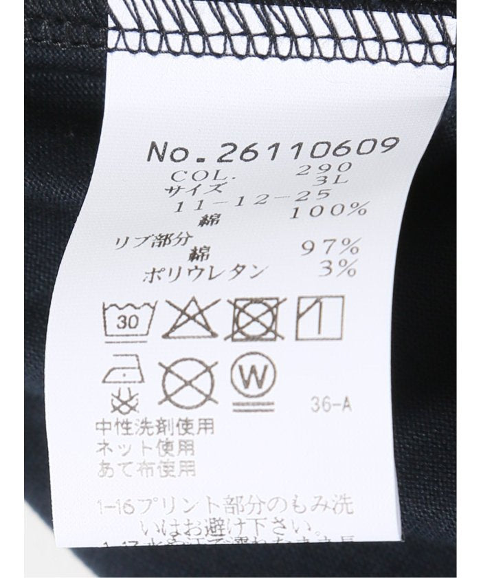 グランバック GRAND-BACK 【大きいサイズ】シナコバ/SINA COVA 綿 シルケット クルーネック 半袖 Tシャツ （白） 白