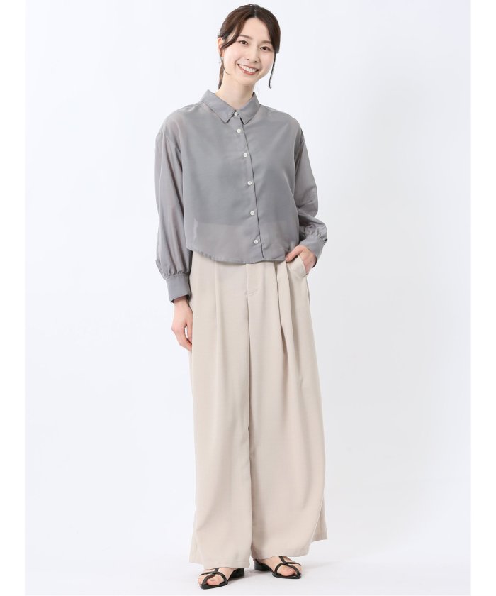 ショート シアー長袖シャツ （青） 半袖 レディース シャツ カットソー トップス ブラウス カジュアル インナー ビジネス ギフト プレゼント 青