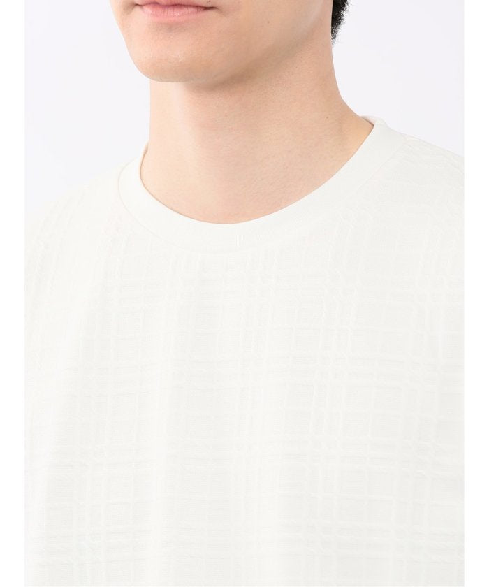 ふくれチェックジャガード クルーネック半袖Tシャツ （ライトグレー） メンズ Tシャツ カットソー カジュアル インナー トップス ギフト プレゼント ライトグレー