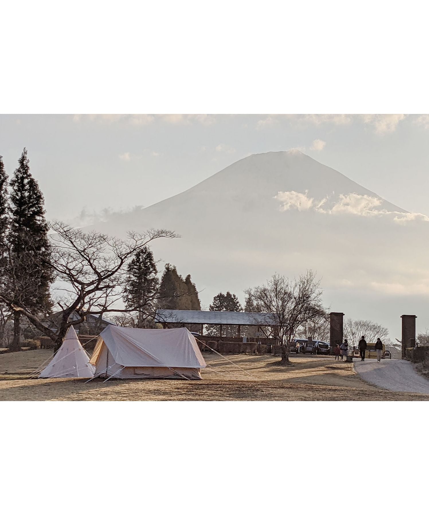 S'more S'more 【S'more /Hommi 】 Tent Polycotton Cabin Type