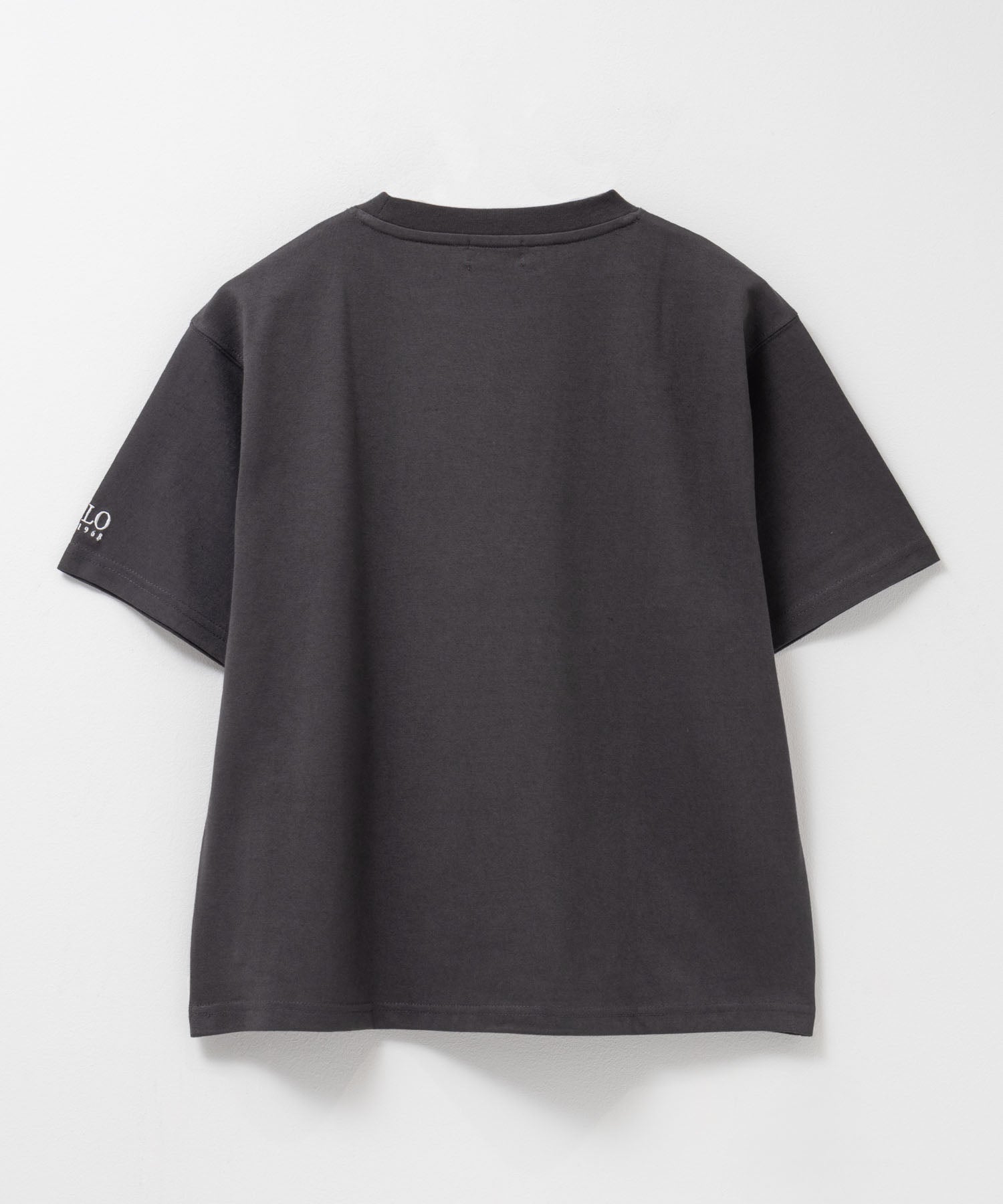 ポロ ビーシーエス POLO BCS ワンポイント刺繍Tシャツ （グリーン） グリーン