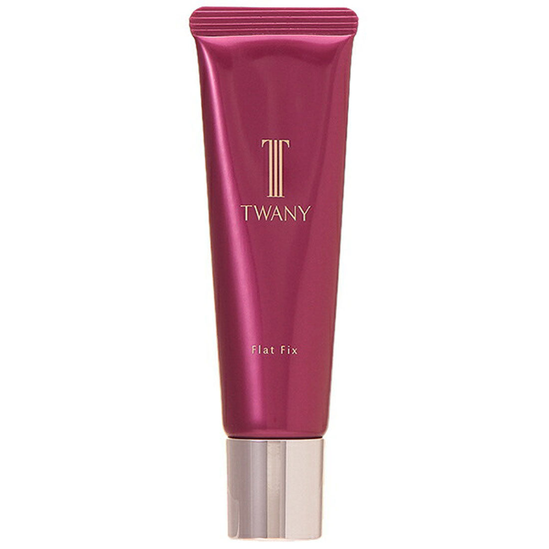 トワニー TWANY フラットフィックス 30g【返品不可商品】