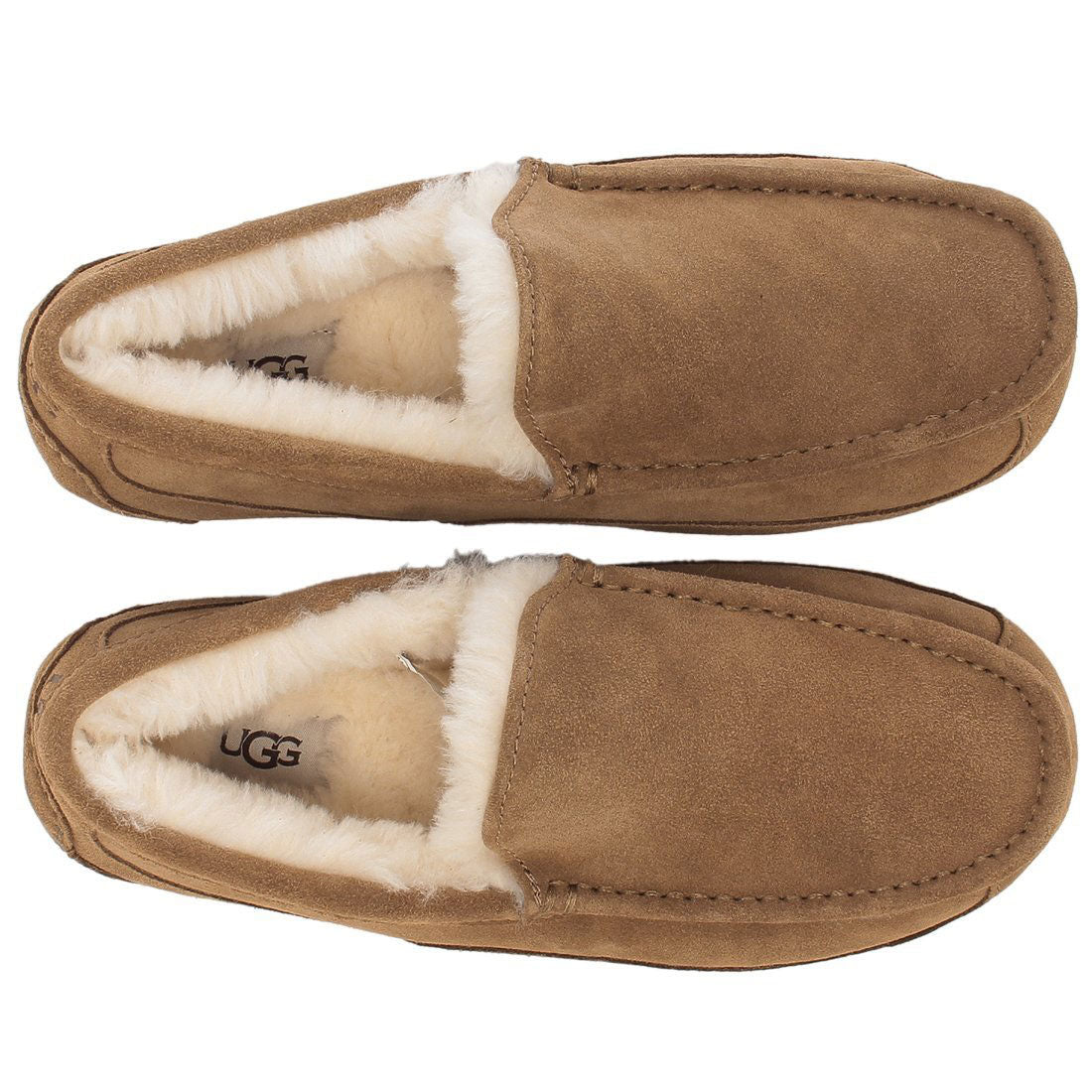 UGG deck shoes moccasin slip-on ascot sheepskin beige men's UGG 1101110 CHE