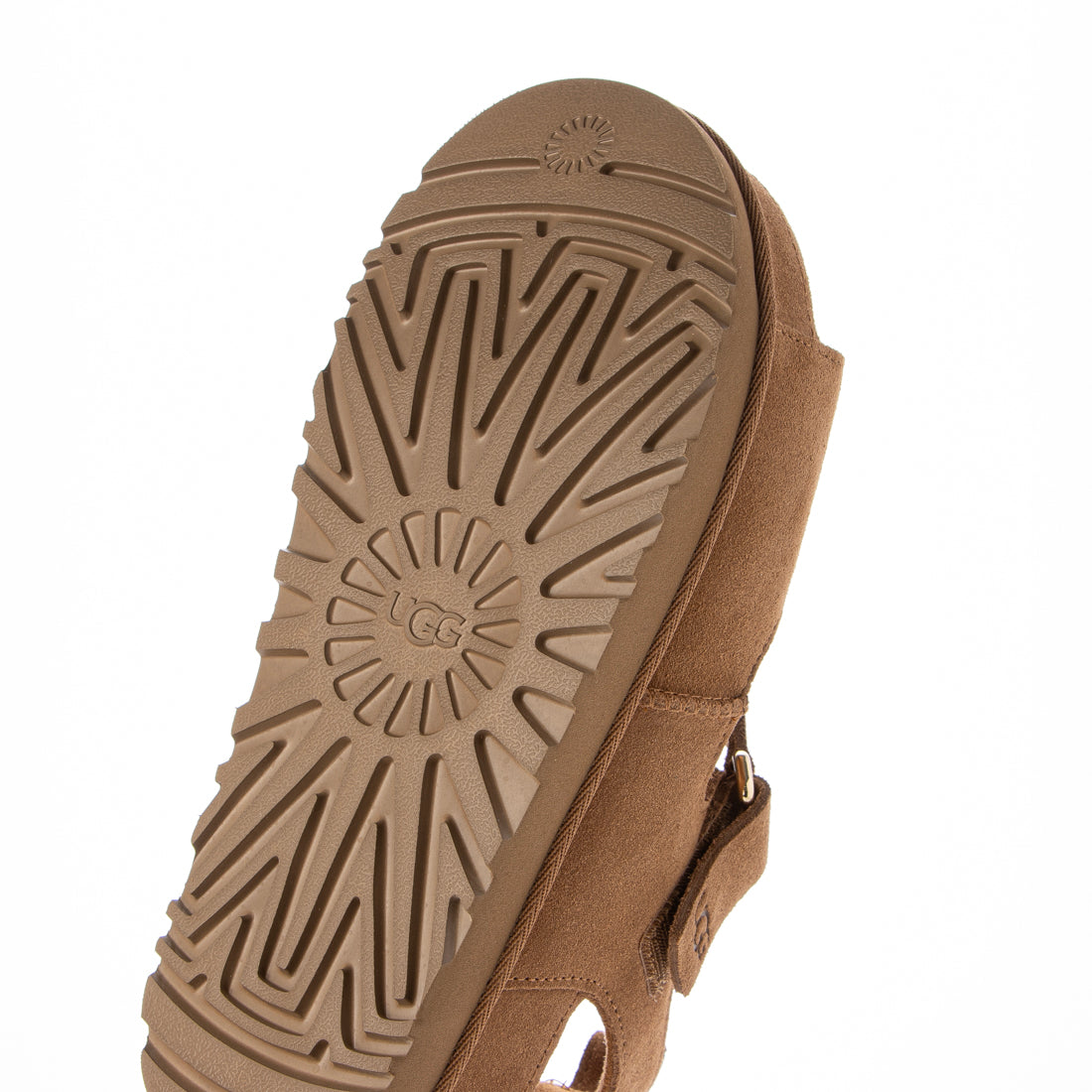 アグ UGG W GOLDENSTAR HI （CHESTNUT） CHESTNUT