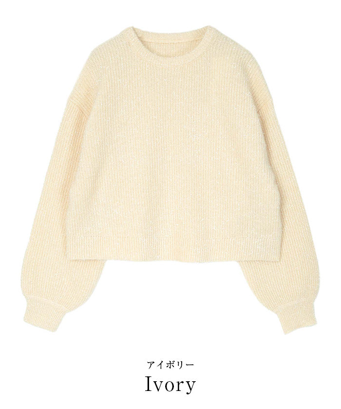 ユアーズ ur's ガラスヤーンショートクルーネックニット