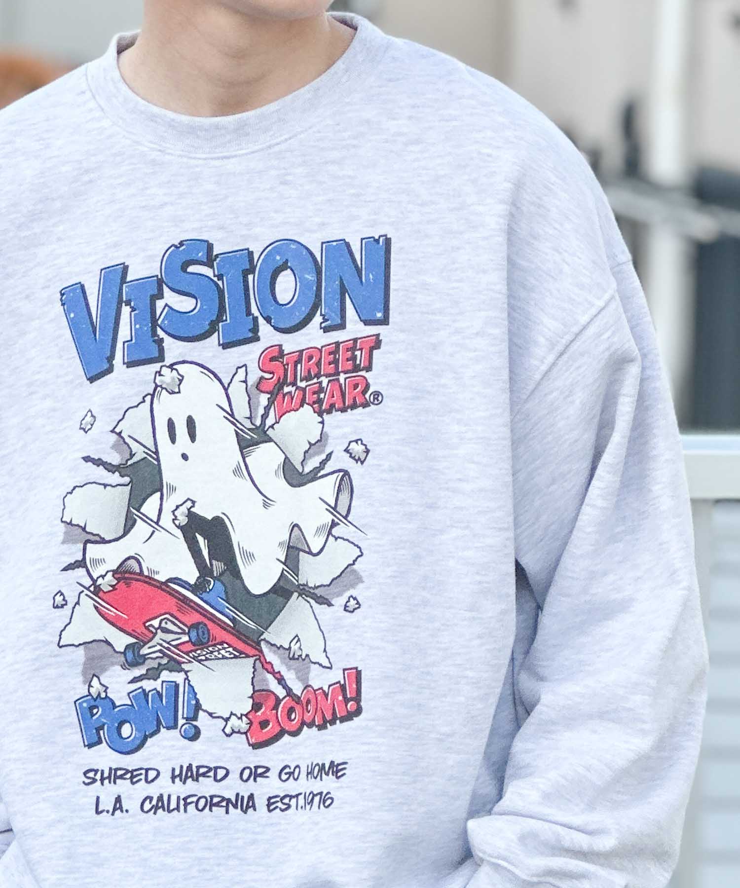 Vision Street Wear Crash Ghost Trainer
