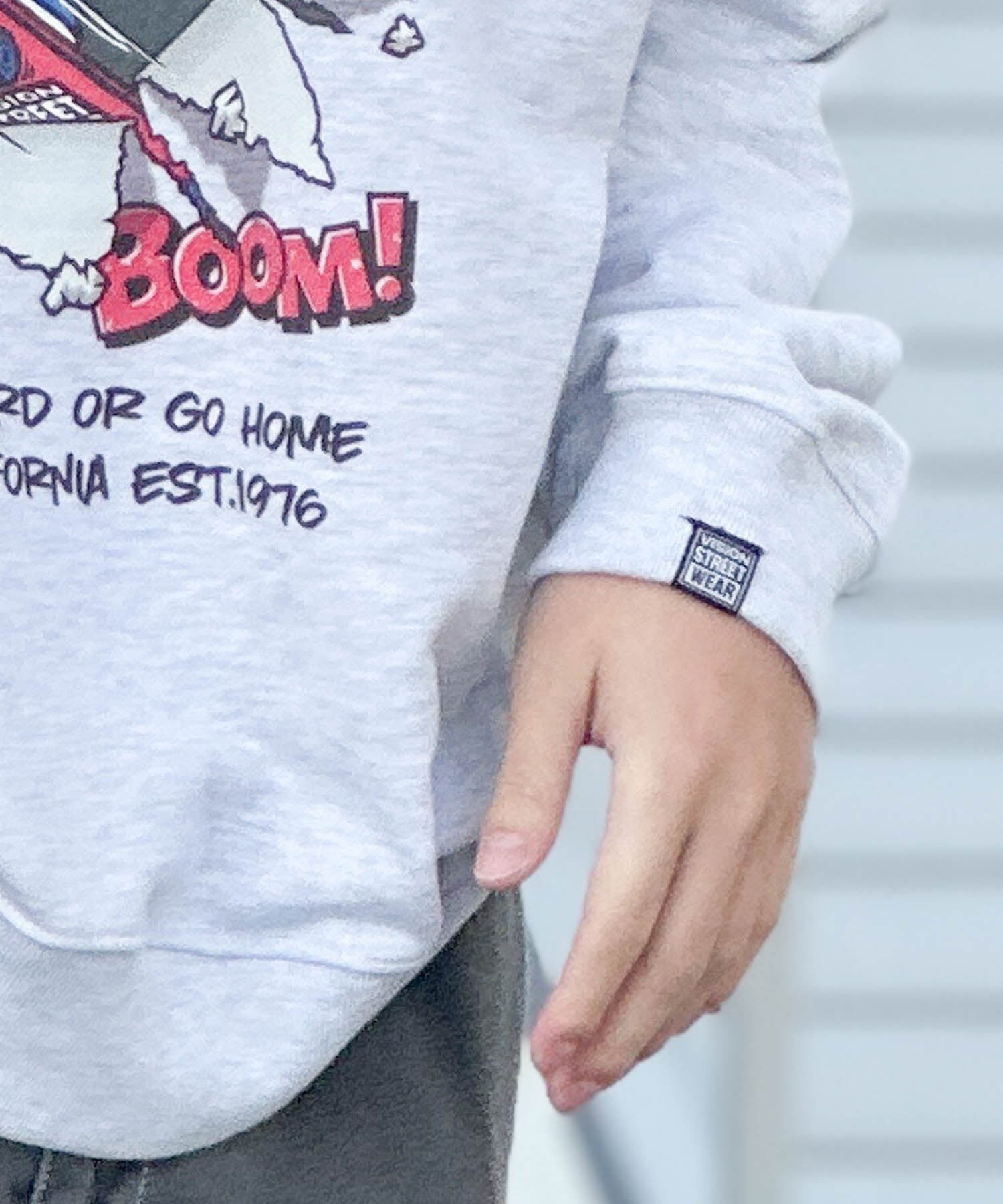 Vision Street Wear Crash Ghost Trainer
