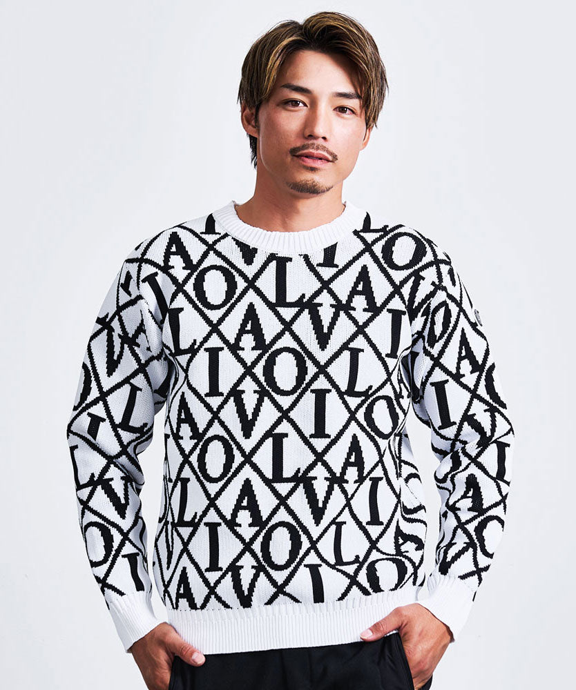 ヴィオラ VIOLA VIOLA JQロゴセーター （2-1(WHITE/ホワイト)） 2-1(WHITE/ホワイト)