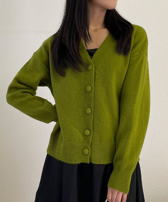 ビビッドレディ VIVIDLADY 軽くて柔らかい肌触り!もちもちVネックカーデ （グリーン） グリーン