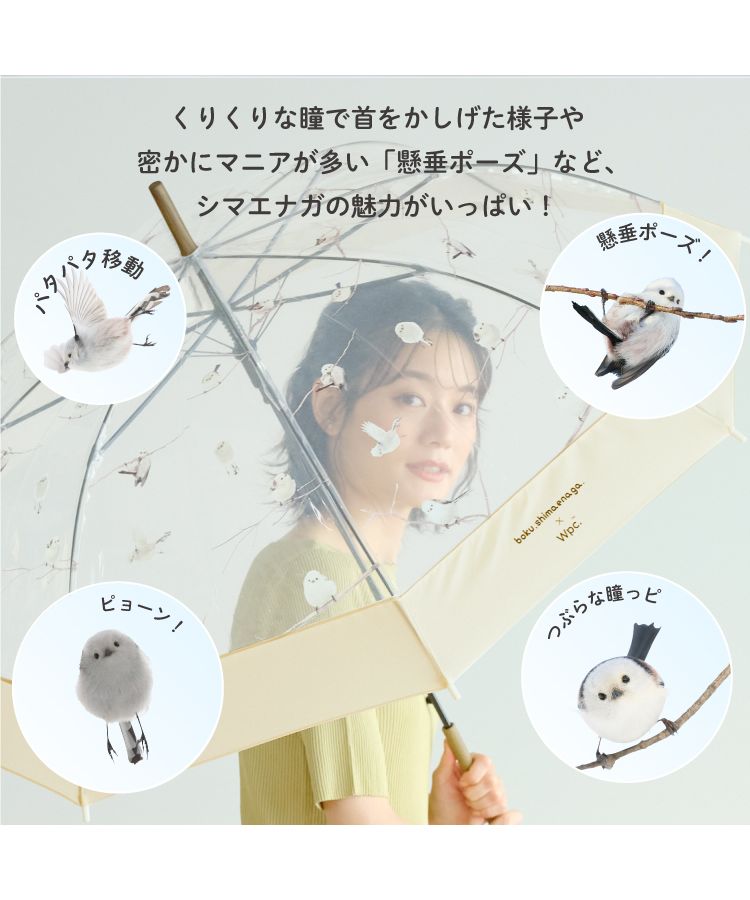 【Wpc.公式】［ビニール傘］やなぎさわごう×Wpc.シマエナガアンブレラ 61cm 長傘 ジャンプ傘 レディース 傘 鳥柄 シマエナガ