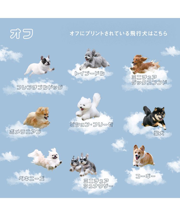 【Wpc.官方】［塑膠傘］飛行犬×Wpc. 空中飛犬傘 親骨61cm 大型 跳傘 傘 女士 雨傘 長傘 時尚 可愛 女性 通