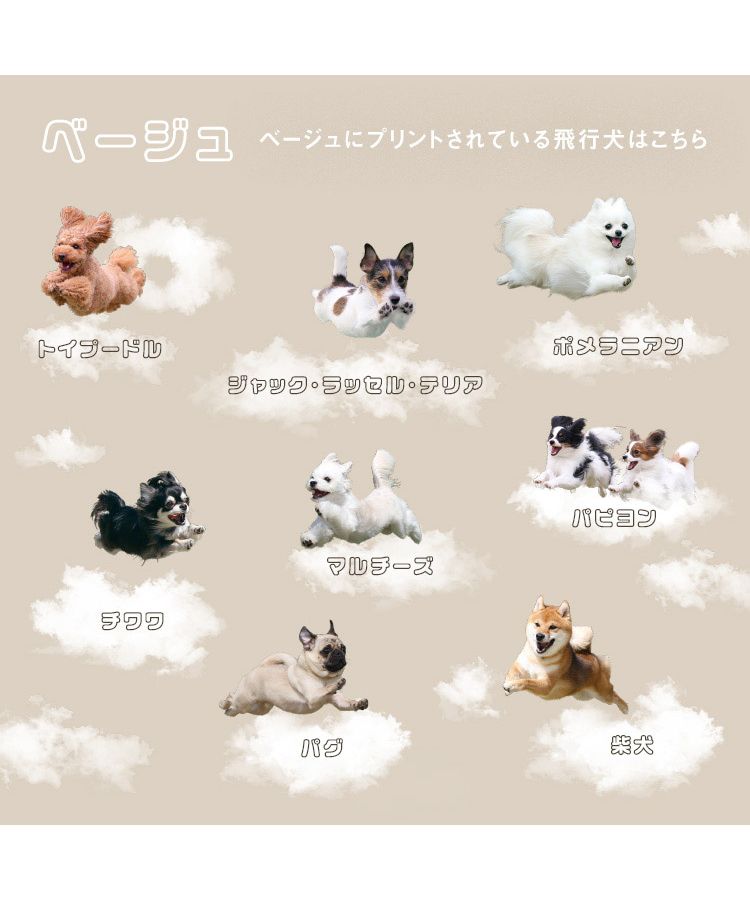 【Wpc.官方】［塑膠傘］飛行犬×Wpc. 空中飛犬傘 親骨61cm 大型 跳傘 傘 女士 雨傘 長傘 時尚 可愛 女性 通