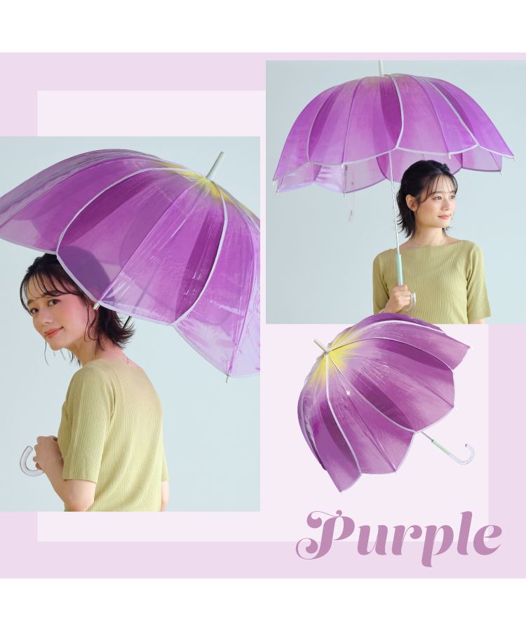 【Wpc.官方】［塑膠傘］鬱金香雨傘 61cm 女士 長傘