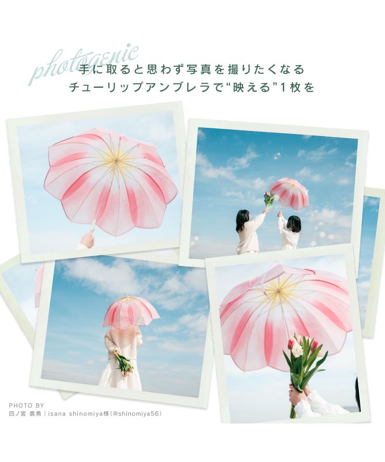 【Wpc.官方】［塑膠傘］鬱金香雨傘 61cm 女士 長傘