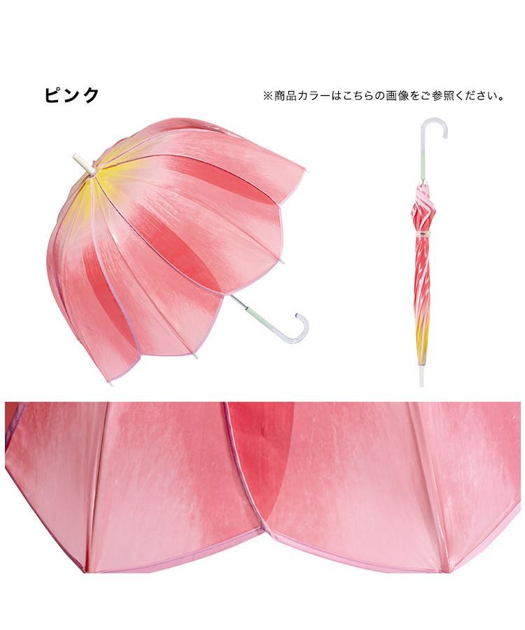 【Wpc.官方】［塑膠傘］鬱金香雨傘 61cm 女士 長傘