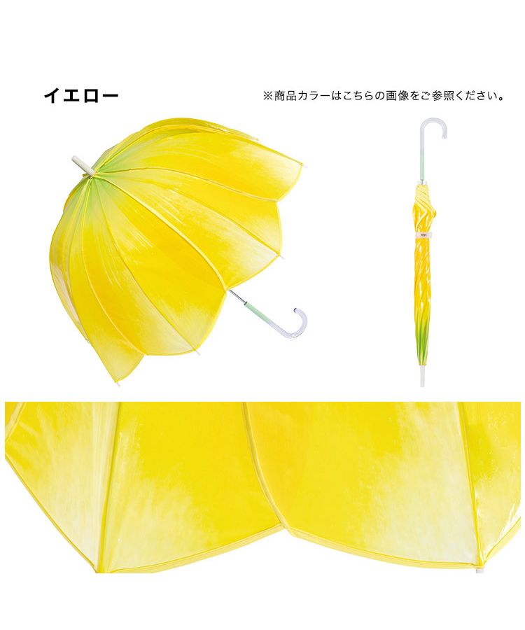 【Wpc.官方】［塑膠傘］鬱金香雨傘 61cm 女士 長傘