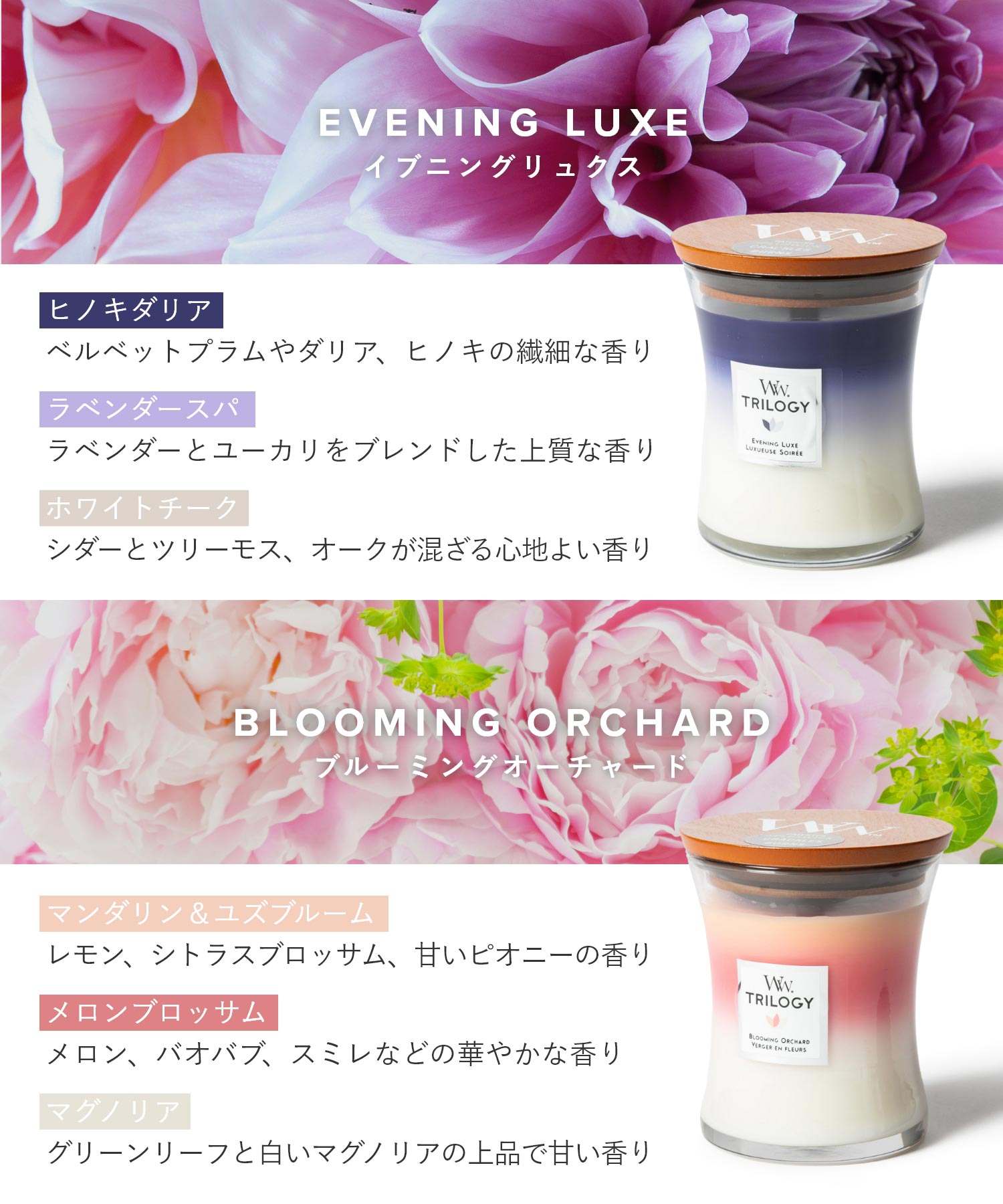 ウッドウィック WoodWick ウッドウィック WoodWick TRILOGY JAR HOURGLASS MEDIUM キャンドル M ユニセックス アロマ 香り ルームフレグランス HOME FRAGRAN （カフェスイーツ） カフェスイーツ