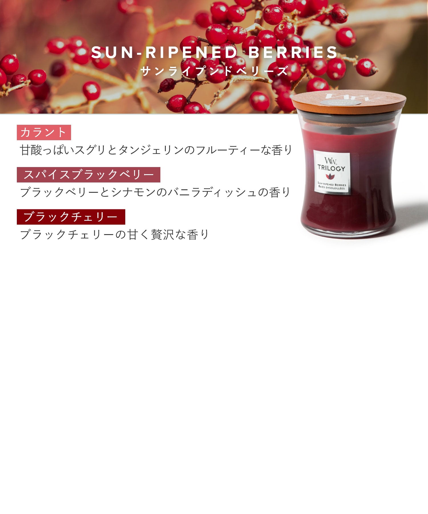 ウッドウィック WoodWick ウッドウィック WoodWick TRILOGY JAR HOURGLASS MEDIUM キャンドル M ユニセックス アロマ 香り ルームフレグランス HOME FRAGRAN （カフェスイーツ） カフェスイーツ