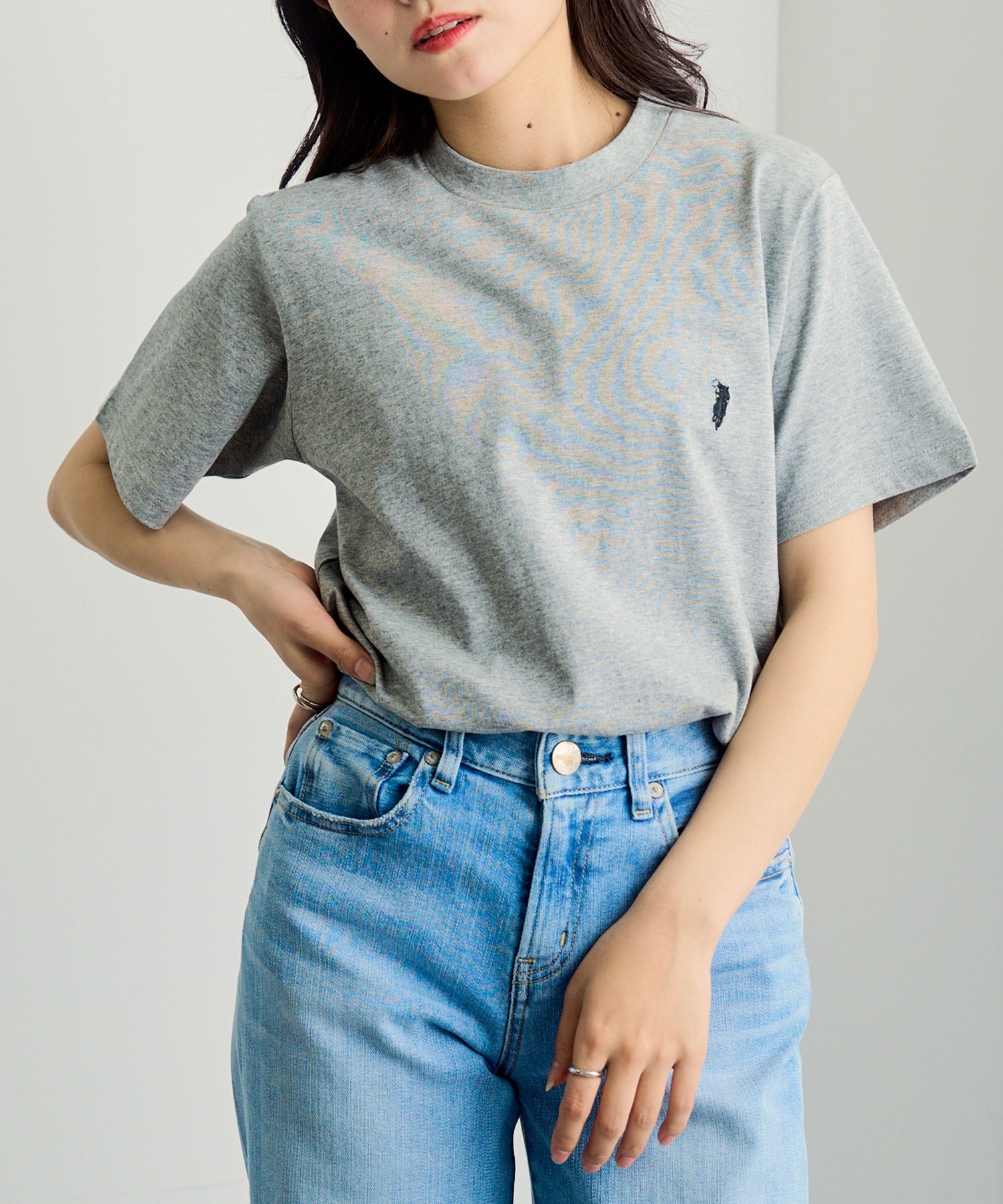 ウエスタンポロテキサス WESTERN POLO TEXAS 別注ワッペン半袖Tシャツ （グレー） グレー