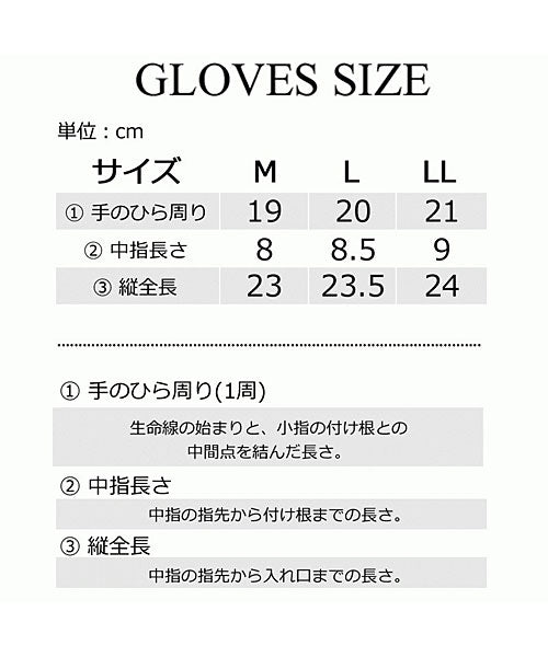 トップイズム TopIsm 手袋 メンズ グローブ スマホ対応 裏起毛 裏フリース スマホ手袋 アウトドア 防寒 防風 撥水 暖かい 秋冬 自転車 バイク 登山 通勤 通学 スマートフォン