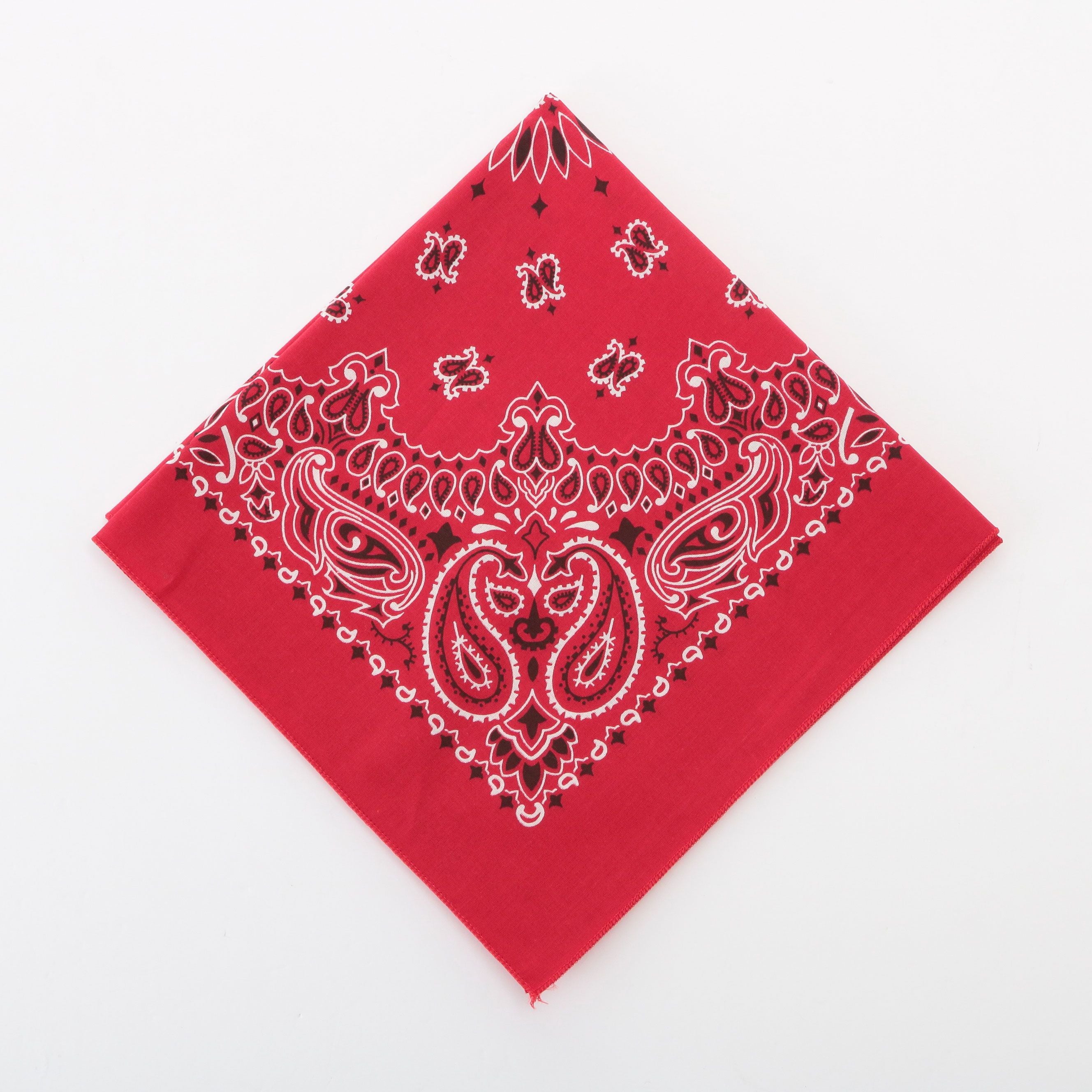 ハバハンク HAV-A-HANK ハバハンク HAV-A-HANK PAISLEY BANDANNA,60.レッド