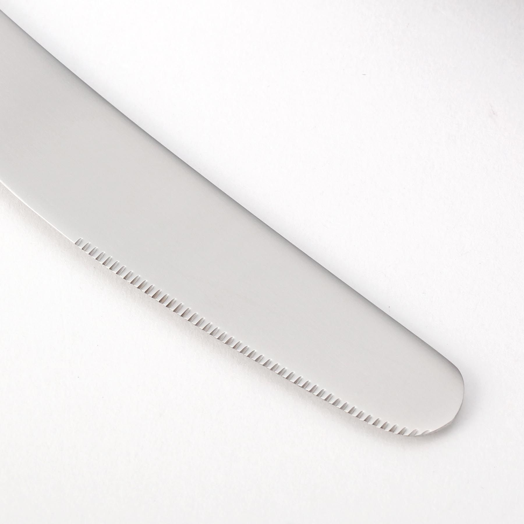 トゥーワントゥーキッチン ストア 212 KITCHEN STORE Common  テーブルナイフ【返品不可商品】